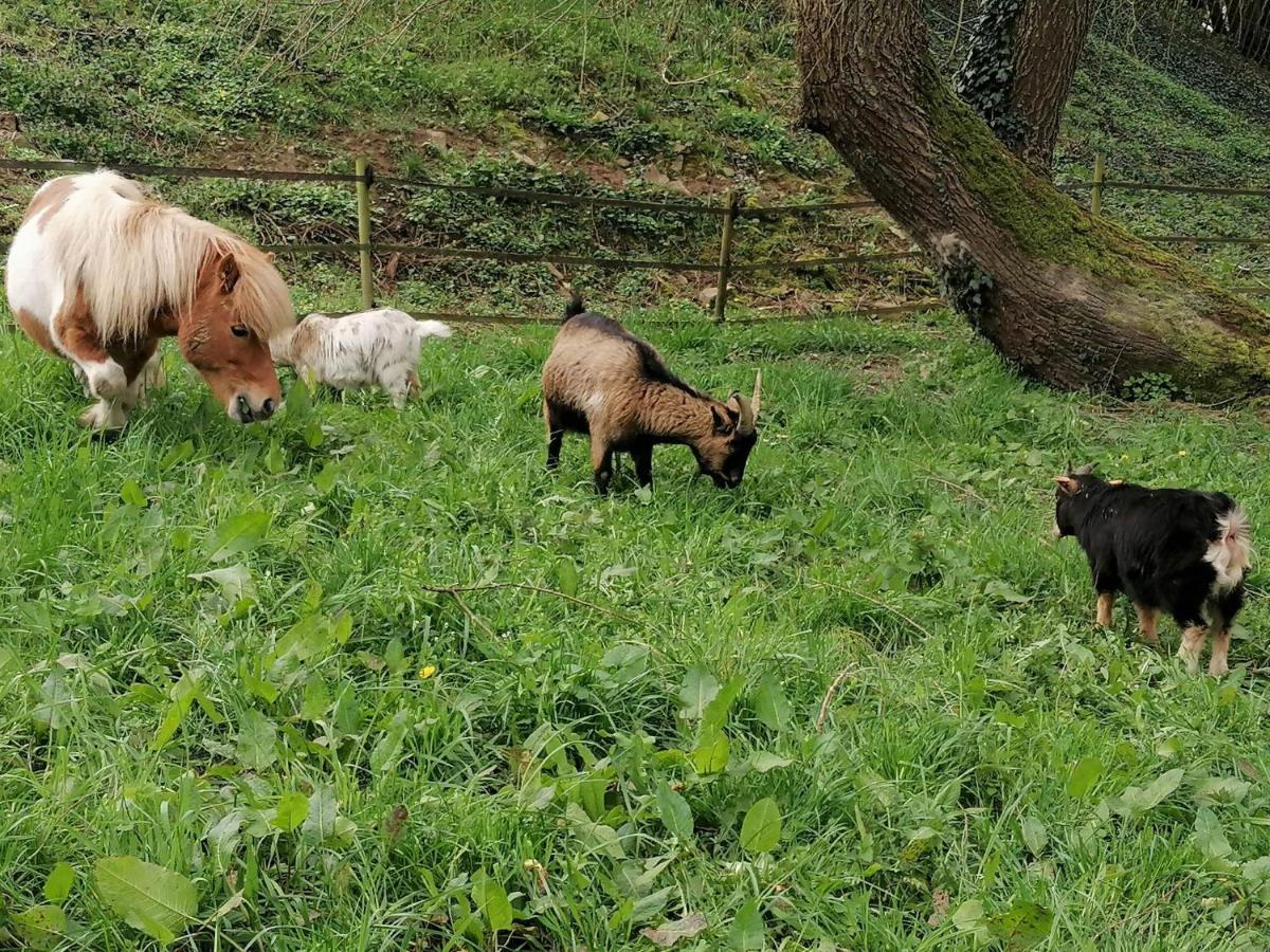 Au Pre De Mukky Villa Andenne Luaran gambar